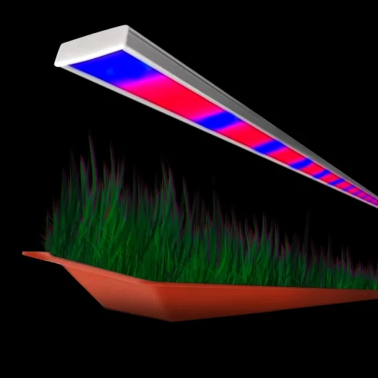 LED lamp for plants 100cm